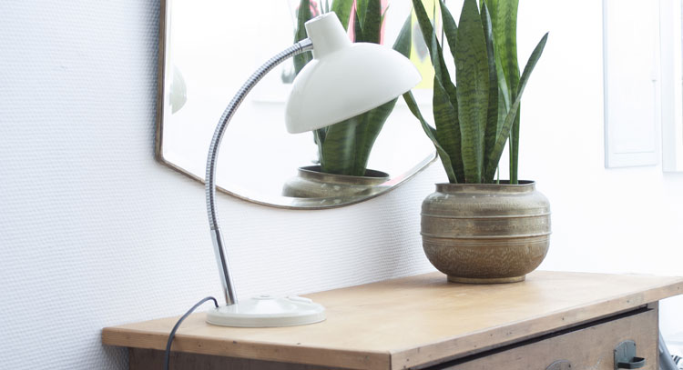 Weiße vintage Schreibtischlampe Alte Holzkommode mit einer Grünpflanze und einer alten weißen Schreibtischlampe aus Metall darauf